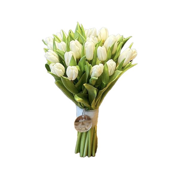 Pure White Tulip Bouquet